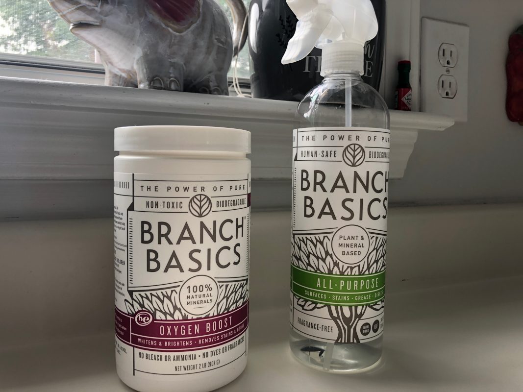 non-toxic cleaning products